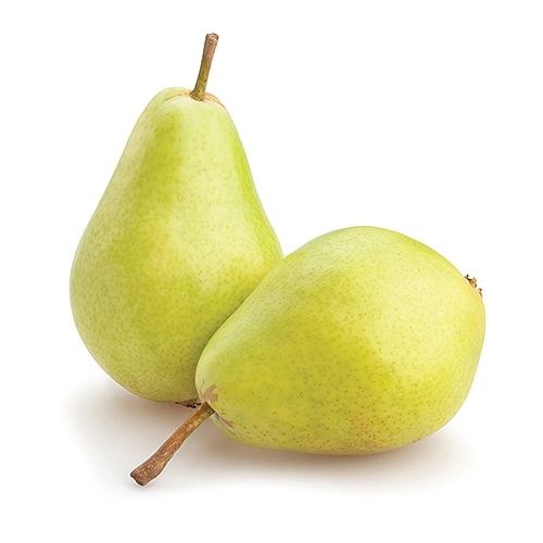 Extremely aromatic pears with a definitive "pear" flavor.  