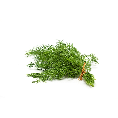 Delicious spiced herb used to flavor meals with an aromatic fragrance.  