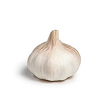 Fresh Garlic, 4 oz