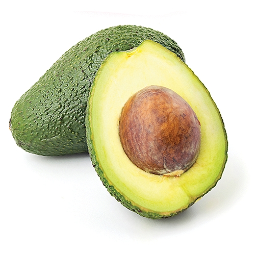 One of the most delicious varieties of avocado with a creamy flesh and a superior taste.  
