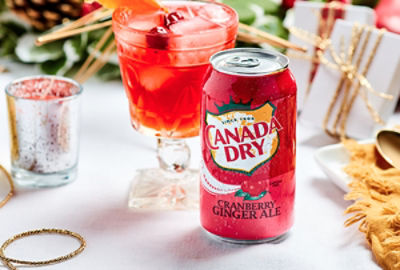 Canada Dry Merry Berry Punch