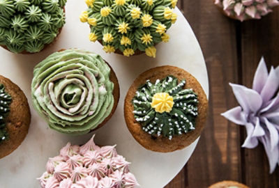 Carrot Succulent Cupcakes