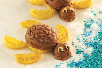 Eggo Turtles