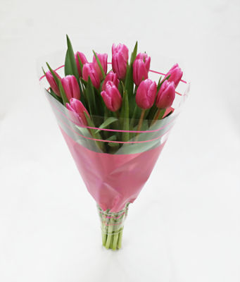 The Floral Shoppe Rainbow Cut Tulips, 1 each