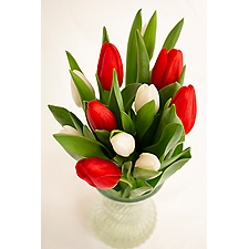 The Floral Shop Valentines Day Cut Tulips, 1 each
