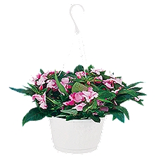 The Floral Shoppe 10" Hanging Basket of Premium Flowers , 1 Each