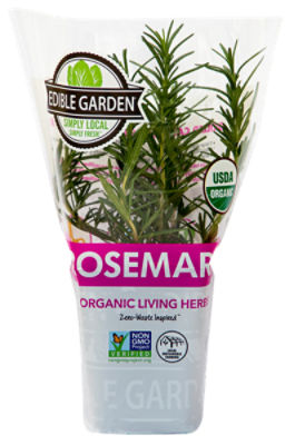 The Floral Shoppe Organic Rosemary Plant, 1 each