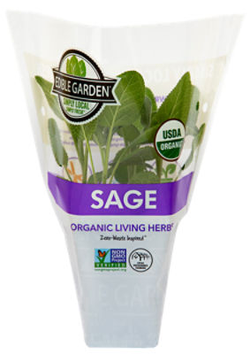 The Floral Shoppe Organic Sage Plant, 1 each