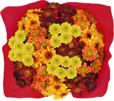 The Floral Shoppe Hardy Mum Hanging Basket, 1 each