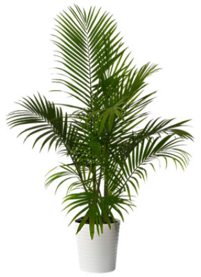 The Floral Shoppe Floral Palm Plant, 10"