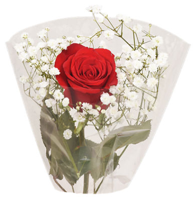 The Floral Shoppe Single Stem Rose Bouquet, 1 each