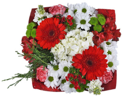 5 Pack Diy Flower Arrangement Kit Green Round Wet Floral Foam With Bowl,  Wedding Aisle Flowers, Par