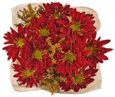 The Floral Shoppe Rover Medley Pom Bunch, 1 each