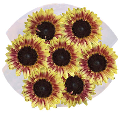 The Floral Shoppe Novelty Sunflower Bunch, 1 each