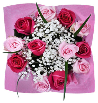 The Floral Shoppe Rainbow Dozen Bouquet, 1 each