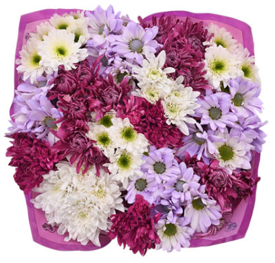 The Floral Shoppe Jumbo Pom Bunch, 1 each