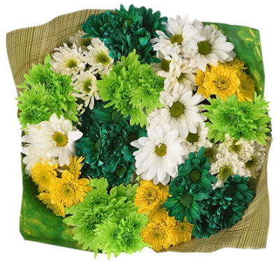 The Floral Shoppe St. Patrick's Day Jumbo Poms Bouquet, 1 each, 1 Each