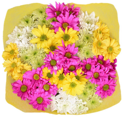 The Floral Shoppe Jumbo Pom Bunch