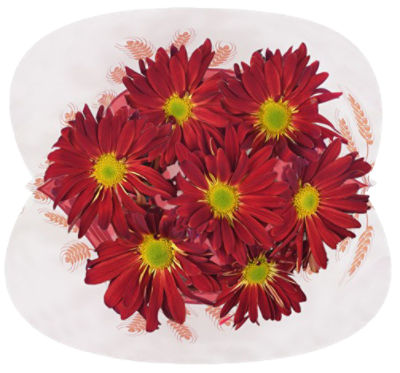 The Floral Shoppe Rover Mum Bunch, 1 each