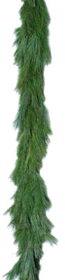 The Floral Shoppe Decorative Holiday Greens - White Pine Roping, each