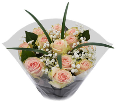 The Floral Shoppe Premium Dozen Rose Bouquet