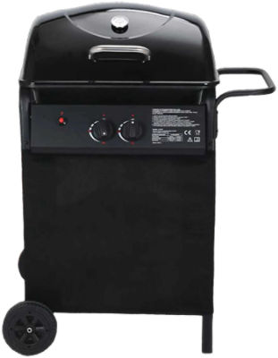 Global Crossing Steel 2 Burner Gas Grill