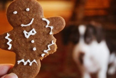 GingerbreadDogCookies.jpg