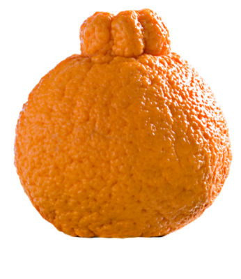 Sumo Mandarin, 1 each