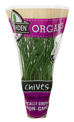 The Floral Shoppe Organic Chives Plant, 1 each