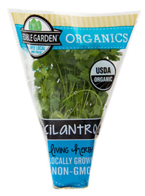 The Floral Shoppe Organic Cilantro Plant, 1 each