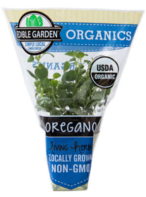 The Floral Shoppe Organic Oregano Plant, 1 each