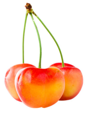 Rainier Cherries, 1.2 pounds