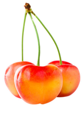 Rainier Cherries, 2.0 pounds