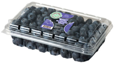 Jumbo Blueberries, 9.8 oz