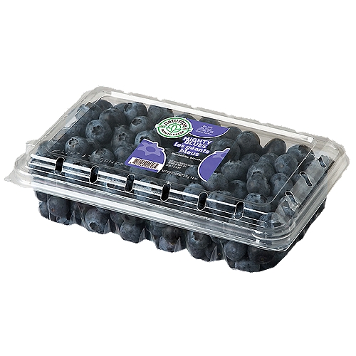 Jumbo Blueberries, 9.8 oz