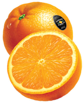 What Are Navel Oranges?