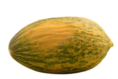 Fresh Santa Claus Melon, each