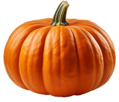 Fresh Pumpkin, each