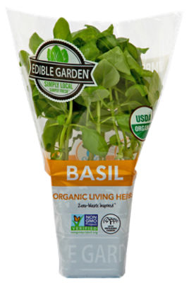 The Floral Shoppe Basil Plant, 1 Each