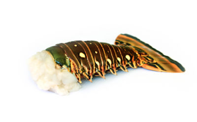 Fresh Seafood Wild Caught Caribbean Lobster Tail, 5 oz