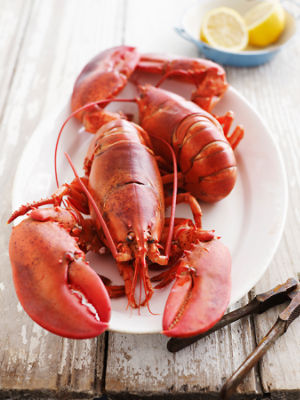 Fresh Seafood Department Lobster Tail, 4 oz
