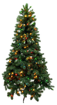 TDC USA Inc. 6.5' Pre-Lit PVC Tree, 1 each