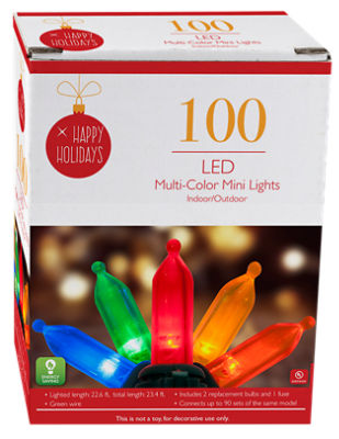 LED Indoor/Outdoor Multi-Color Mini Lights, 100 Count